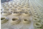 Epoxy Coated Flange